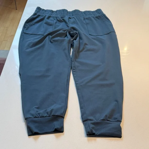Mondetta Women's Joggers, Ankle Pants - Slate Blue, Size L - Picture 2 of 10